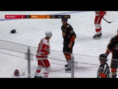 J. Abdelkader (DET) vs. C. Perry (ANA)