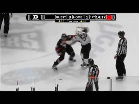 P. Bordeleau (SAR) vs. K. Hagel (CHC)