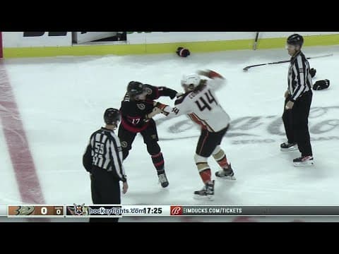 M. Comtois (ANA) vs. A. Gaudette (OTT)