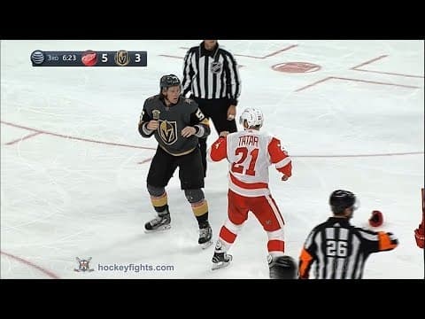 T. Tatar (DET) vs. E. Haula (VGK)