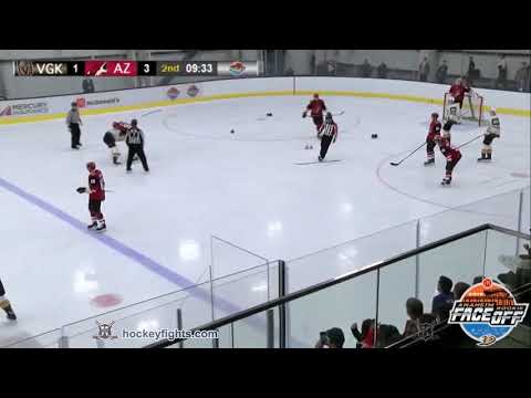 M. Primeau (VGK) vs. C. Hall (ARI)