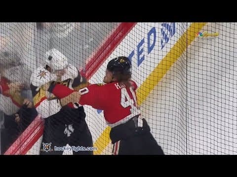 L. Sbisa (VGK) vs. J. Hayden (CHI)