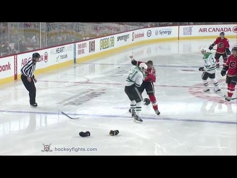 A. Roussel (DAL) vs. M. Ferland (CAL)