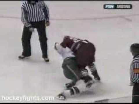 D. Boogaard (MIN) vs. G. Laraque (ARI)