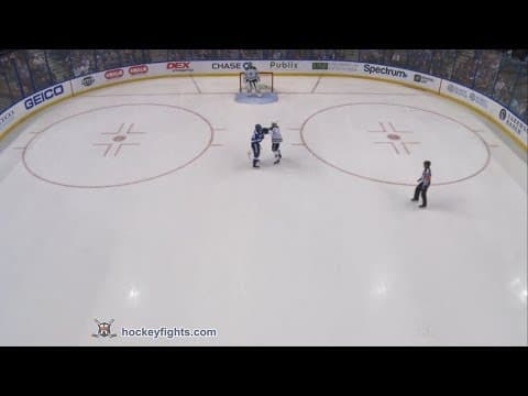 D. Hamhuis (DAL) vs. V. Namestnikov (TBL)