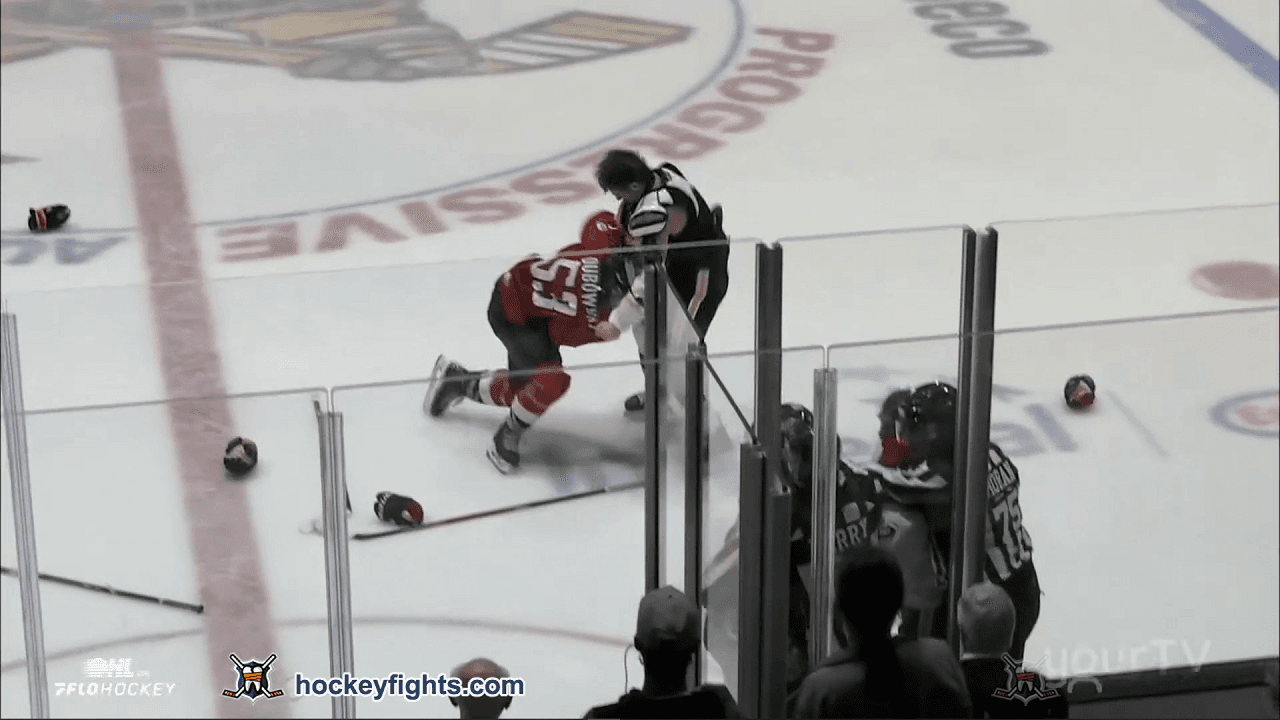 C. Dubowsky (WSR) vs. H. Hurt (SAR)