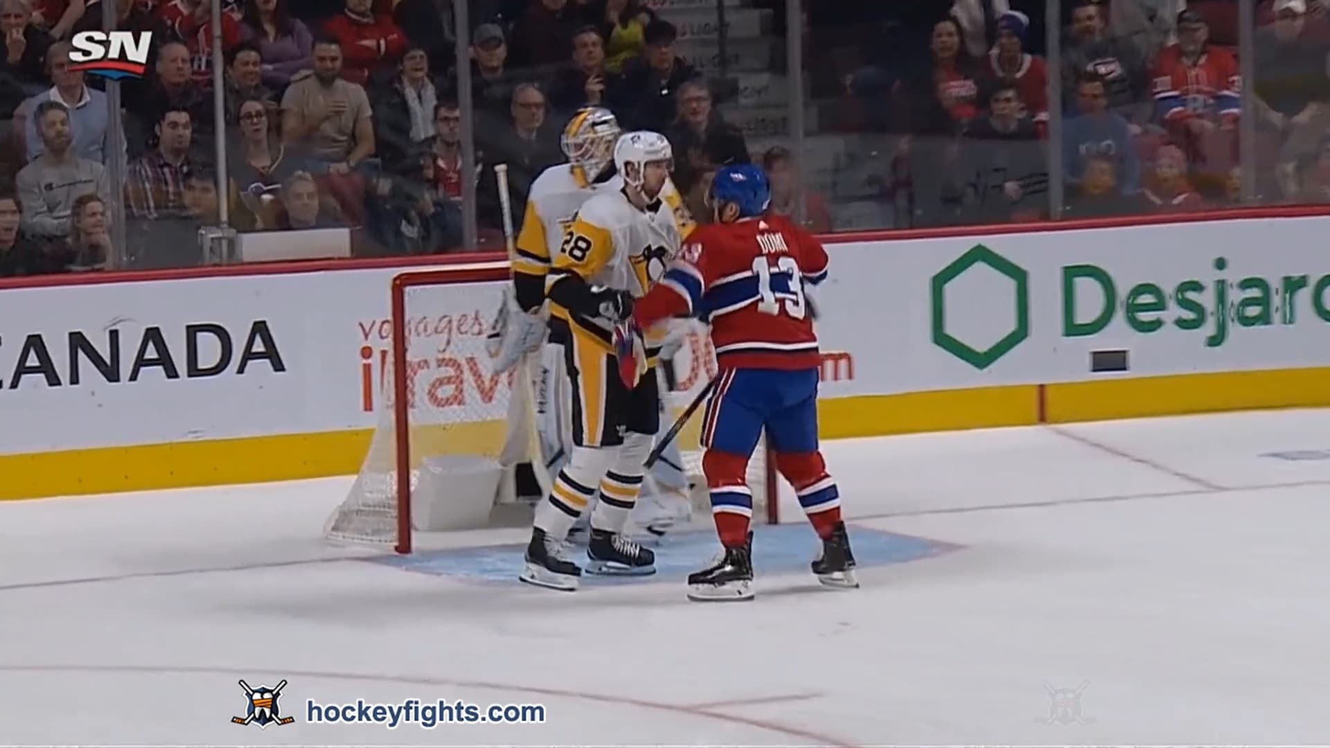 M. Pettersson (PIT) vs. M. Domi (MTL)