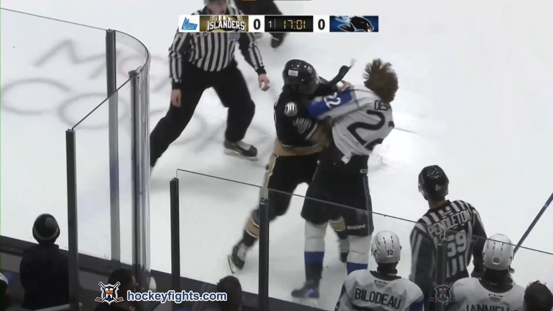 S. Bowness (CHA) vs. V. Despont (SNB)