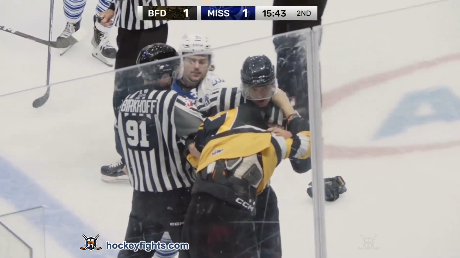 N. Roberts (BRA) vs. A. Zidlicky (BRA)