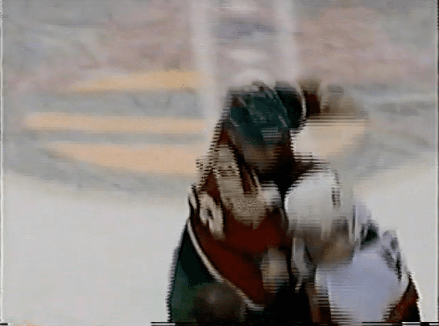 C. Neil (OTT) vs. J. Wiemer (MIN)